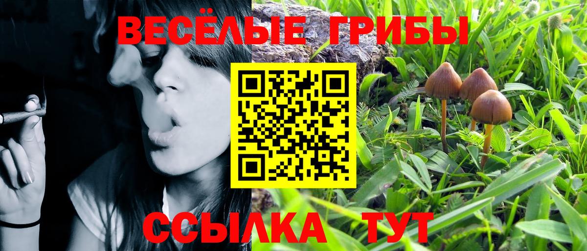 Новосибирск  Галлюциногенные грибы мицелий  Вход с VPN 