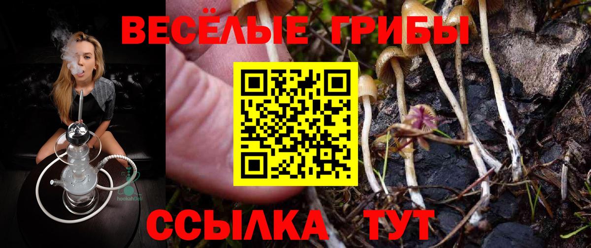 Галлюциногенные грибы Magic Shrooms Новосибирск
